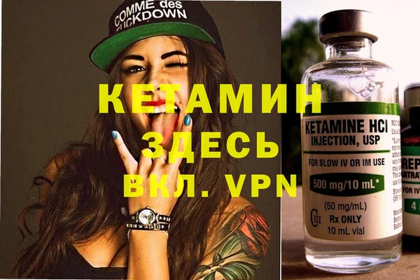 ПСИЛОЦИБИНОВЫЕ ГРИБЫ Ельня