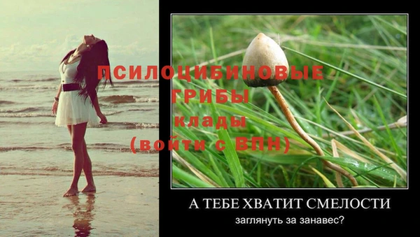 каннабис Дмитровск