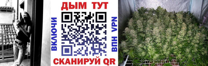Канабис SATIVA & INDICA  Купить  Камбарка 